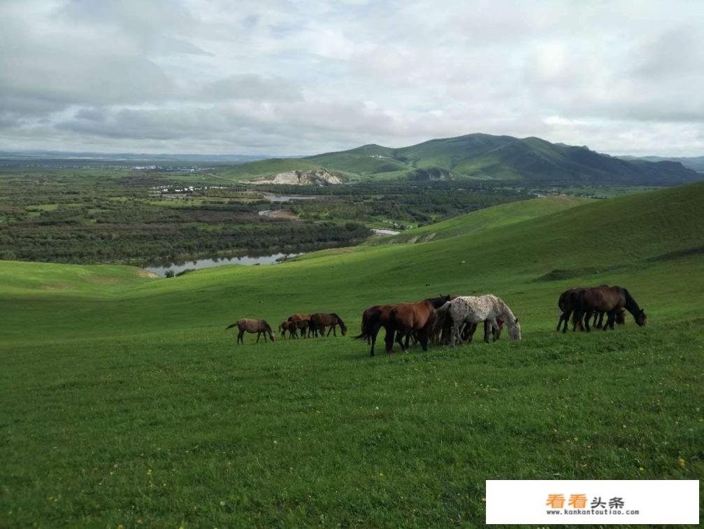 穿绿色裙子在草原拍照好看吗