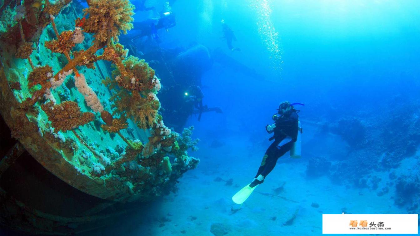 出国旅游保险在哪买会比较靠谱?旅游保险有必要买吗