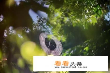 海南旅游十大必备物品 海南旅游十大必备物品