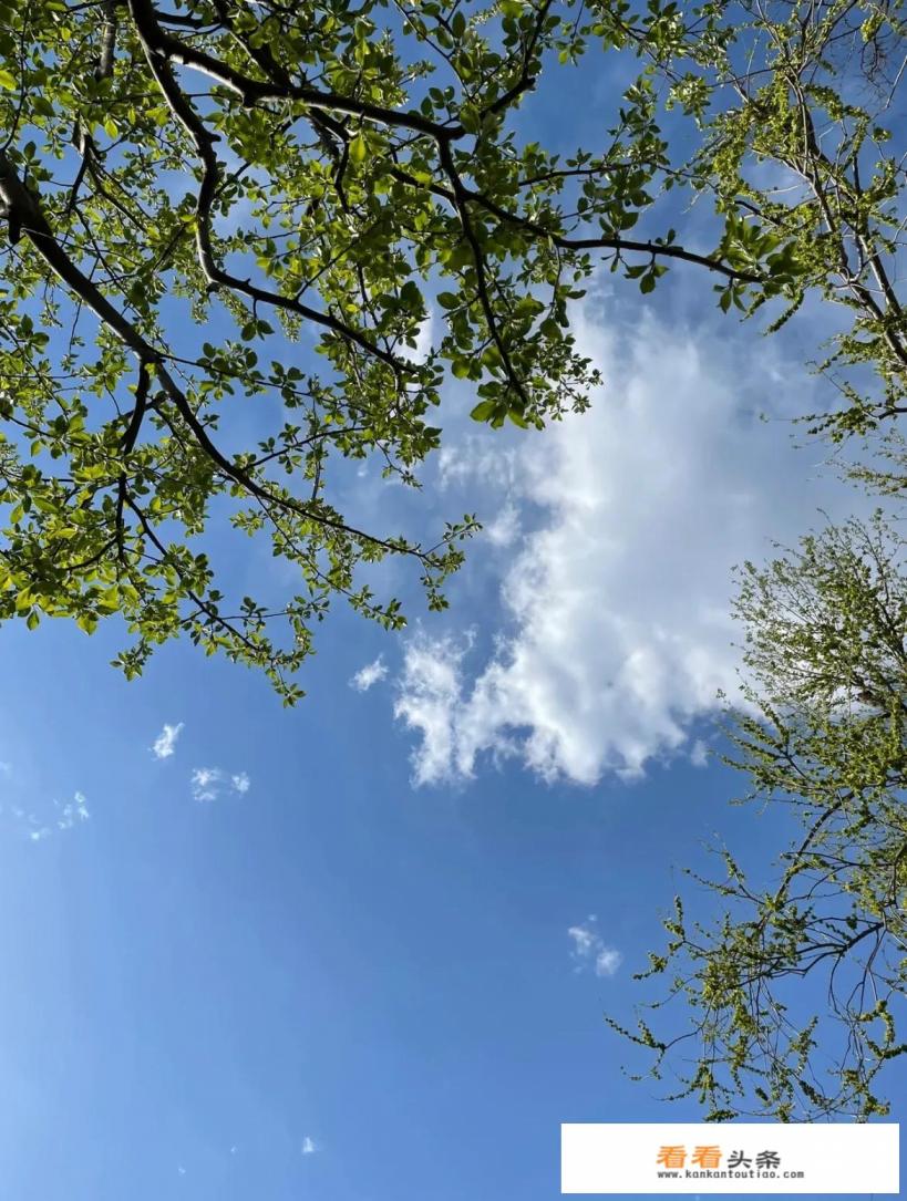 北京有哪些性价比比较高的景点推荐一下 北京有哪些性价比比较高的景点推荐一下