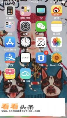 手机通讯录怎么备份