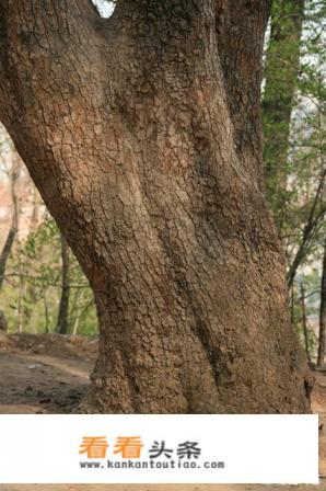 辽宁丹东凤城，在秋天有什么好玩的