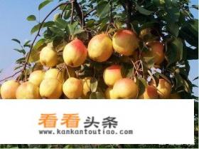 辽宁丹东凤城，在秋天有什么好玩的