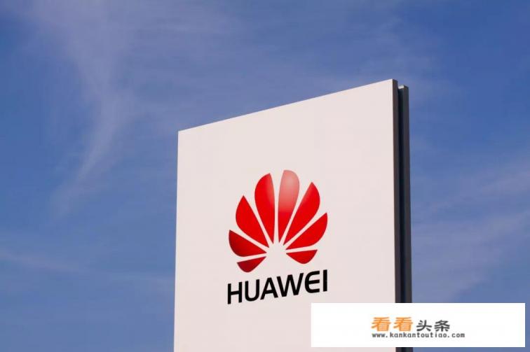 任正非最新言论:狼性文化是对华为的讽刺,为何引发网友一片吐槽 任正非最新言论:狼性文化是对华为的讽刺,为何引发网友一片吐槽