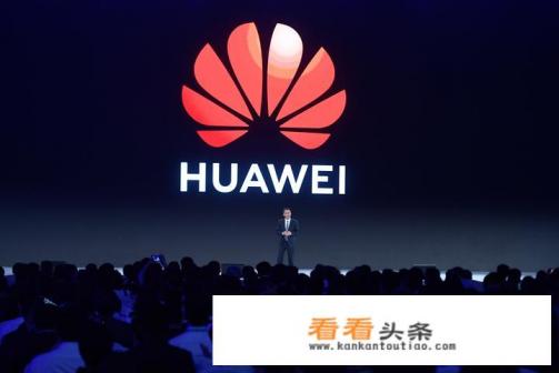 任正非最新言论:狼性文化是对华为的讽刺,为何引发网友一片吐槽 任正非最新言论:狼性文化是对华为的讽刺,为何引发网友一片吐槽