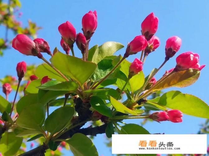 想去草原旅游，能否推荐几个好去处