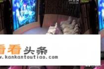 最热门好用的VR视频播放器盘点