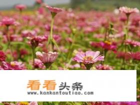 长春到漠河自驾攻略