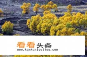 张家口8月自驾游必去的十个景点