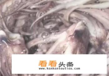 爆炒八爪鱼怎么做