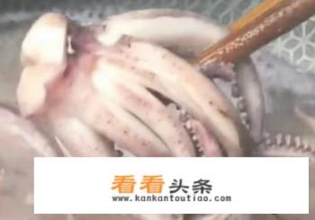 爆炒八爪鱼怎么做