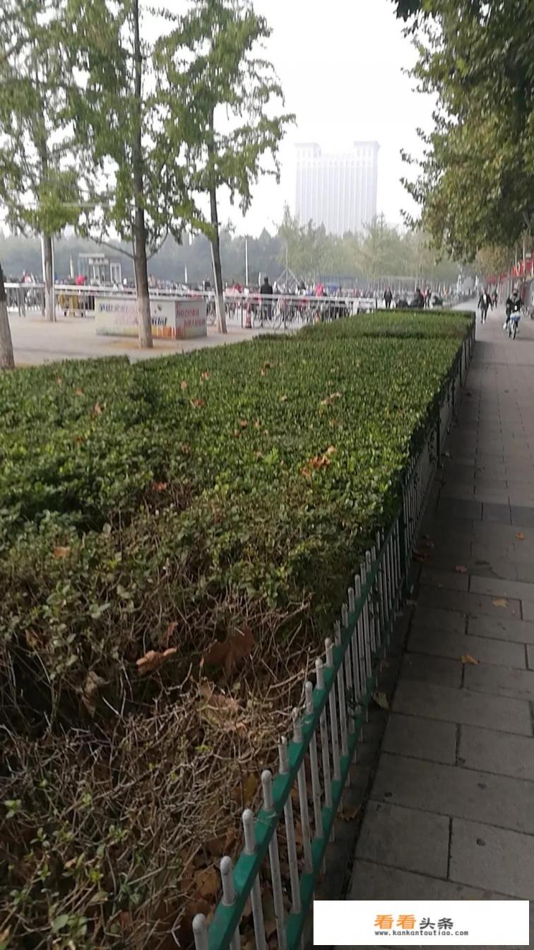 暴力性的语言或侮辱性的语言，法律上要担什么样的责任