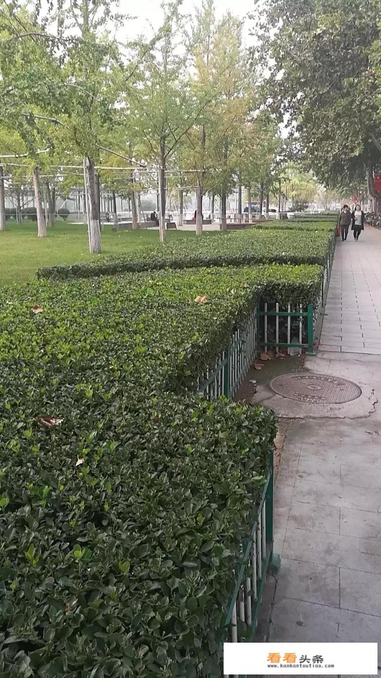 暴力性的语言或侮辱性的语言，法律上要担什么样的责任