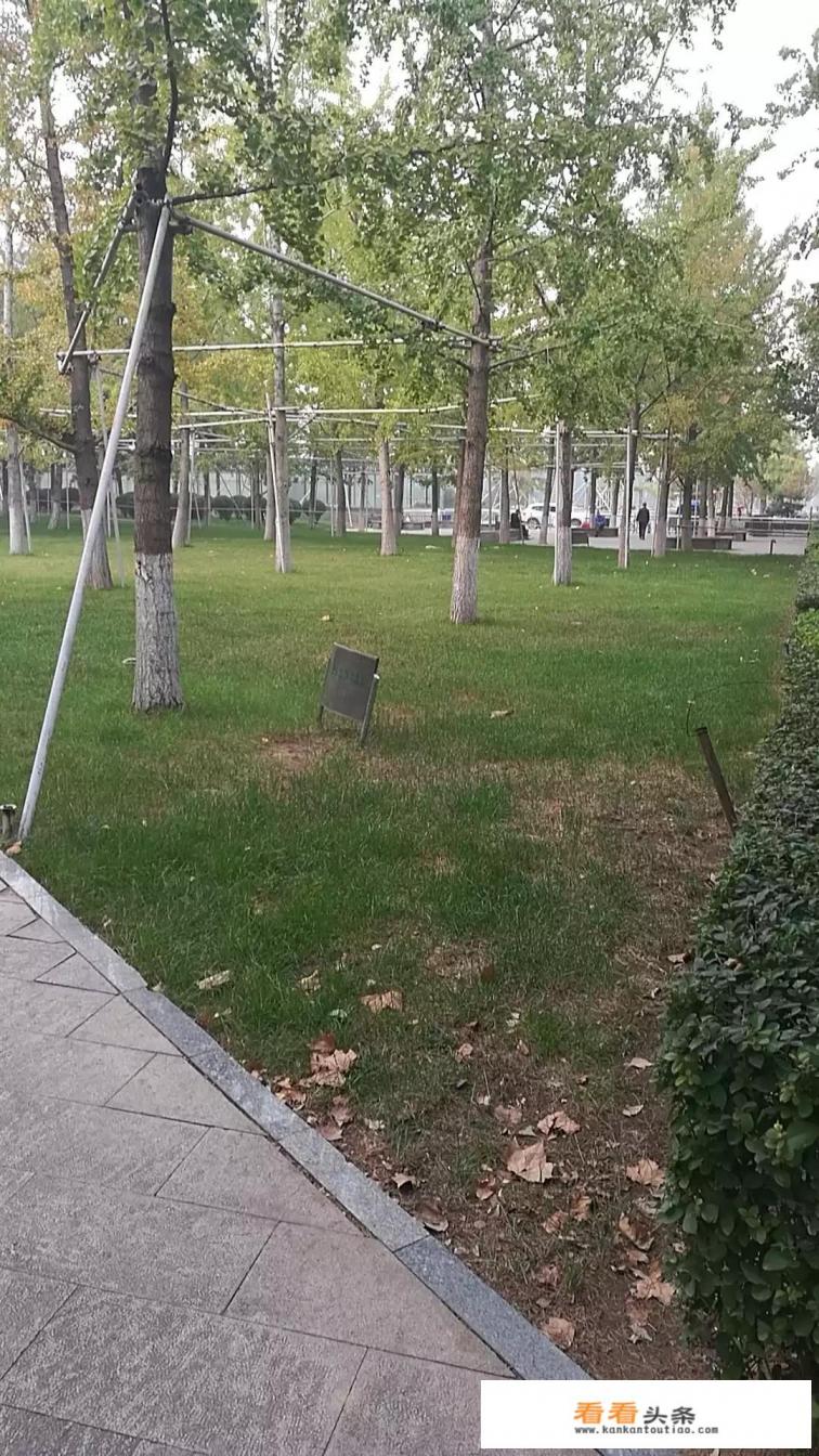 暴力性的语言或侮辱性的语言，法律上要担什么样的责任