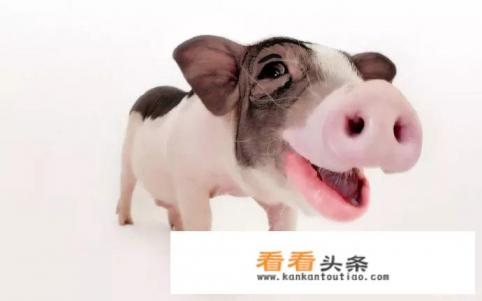 外出旅行时，你知道少数民族的饮食禁忌有哪些吗