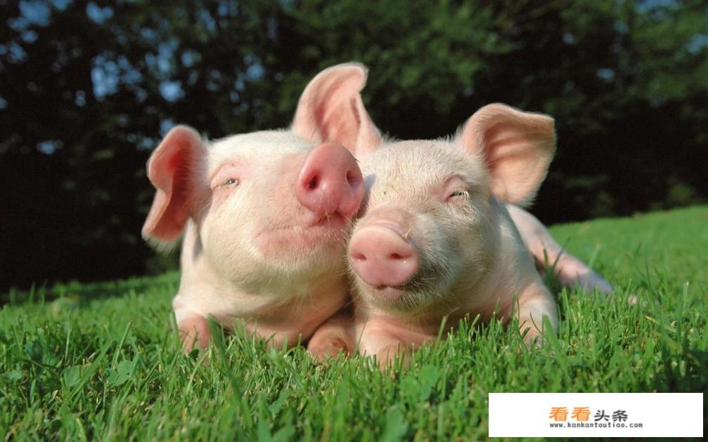 外出旅行时，你知道少数民族的饮食禁忌有哪些吗