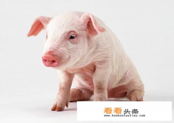 外出旅行时，你知道少数民族的饮食禁忌有哪些吗