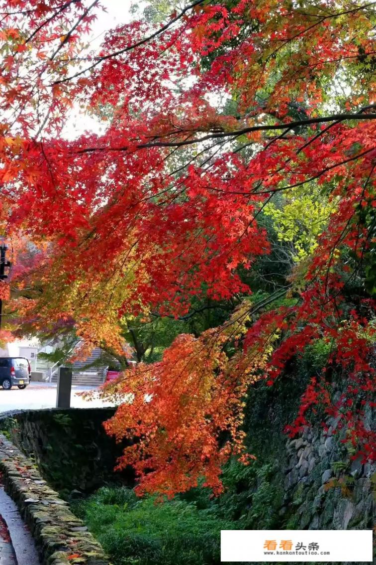 12月份去日本旅游好吗