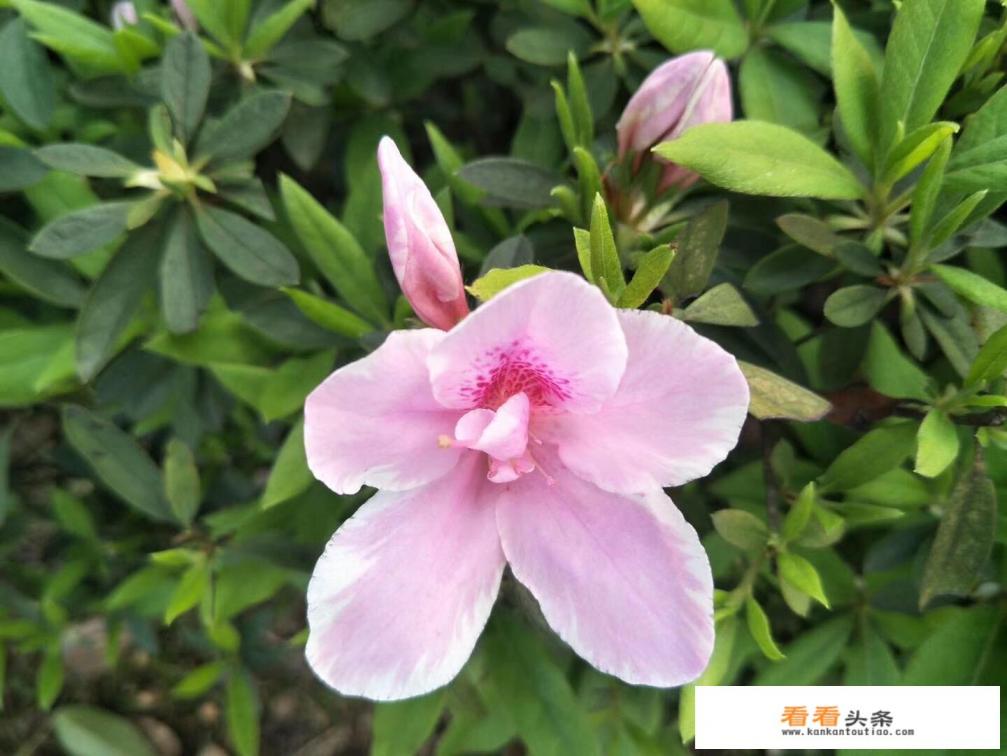 在学校可以两个人玩的游戏有哪些 在学校可以两个人玩的游戏有哪些