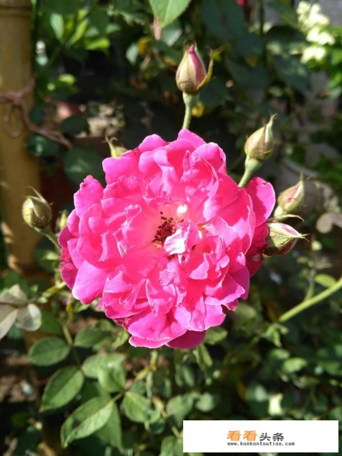 怎么找当地旅游团 怎么找当地旅游团