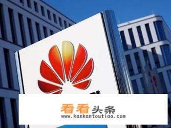 2023年 华为财报 2023年 华为财报