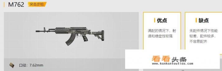  *** 战场游戏里该怎么搭配两把主枪比较好