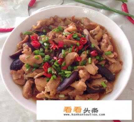 有没有做法简单成本低廉的营养美味家常菜推荐呢