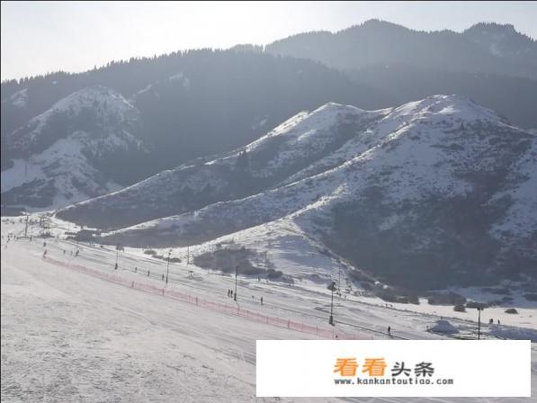 最近刚去新疆旅游回来,吃多了烤羊,便秘,听说当地喝黑茶便秘,有效果么 最近刚去新疆旅游回来,吃多了烤羊,便秘,听说当地喝黑茶便秘,有效果么