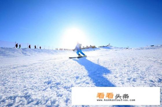 最近刚去新疆旅游回来,吃多了烤羊,便秘,听说当地喝黑茶便秘,有效果么 最近刚去新疆旅游回来,吃多了烤羊,便秘,听说当地喝黑茶便秘,有效果么