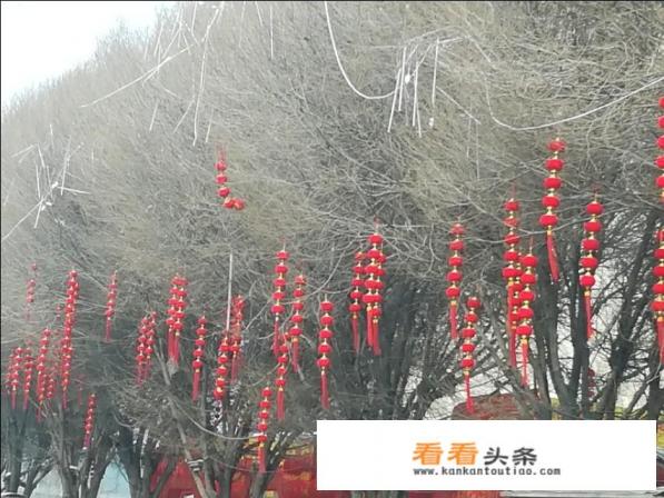 最近刚去新疆旅游回来,吃多了烤羊,便秘,听说当地喝黑茶便秘,有效果么 最近刚去新疆旅游回来,吃多了烤羊,便秘,听说当地喝黑茶便秘,有效果么