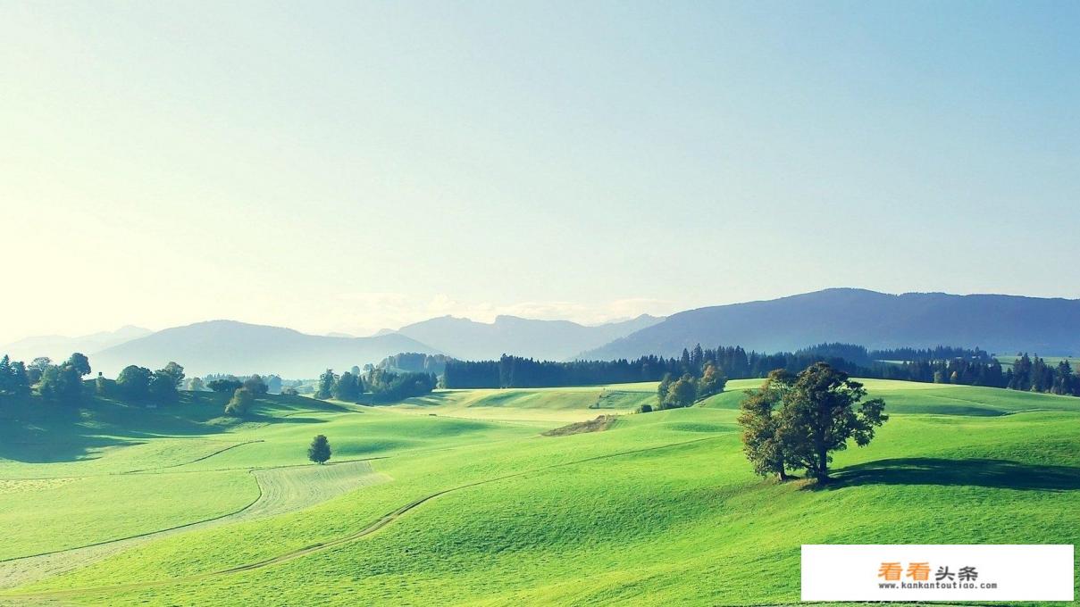 武汉男子因“特殊癖好”偷女性内衣裤近百件,被行拘15日, 你怎么看 武汉男子因“特殊癖好”偷女性内衣裤近百件,被行拘15日, 你怎么看