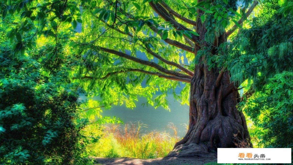 武汉男子因“特殊癖好”偷女性内衣裤近百件,被行拘15日, 你怎么看 武汉男子因“特殊癖好”偷女性内衣裤近百件,被行拘15日, 你怎么看