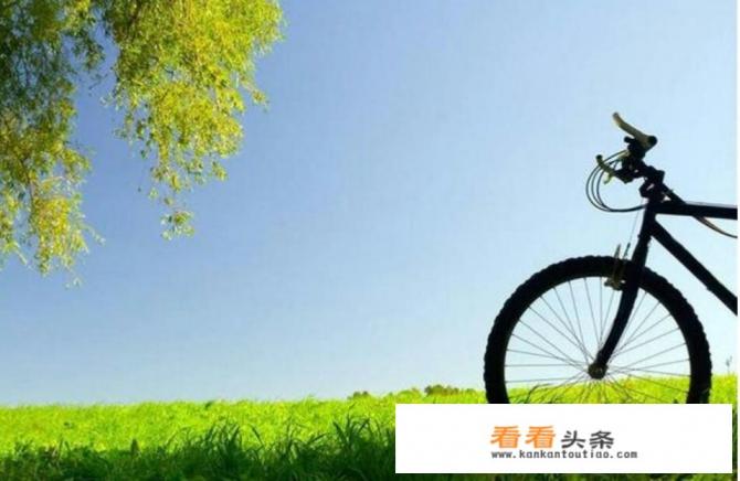 如何养成健康的饮食习惯