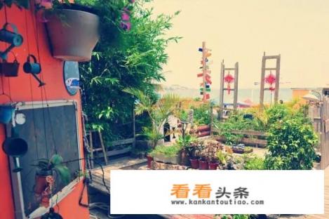 深圳西冲和深圳较场尾哪里好玩 深圳西冲和深圳较场尾哪里好玩