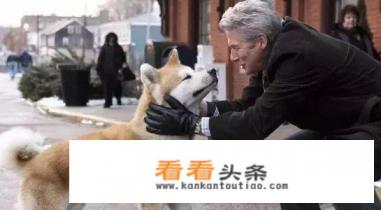 巫哲的小说顺序排列 巫哲的小说顺序排列