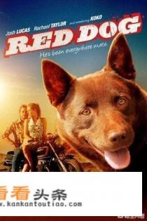 巫哲的小说顺序排列 巫哲的小说顺序排列