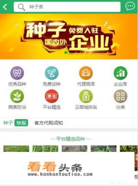 网上买种子哪个平台最可靠 网上买种子哪个平台最可靠