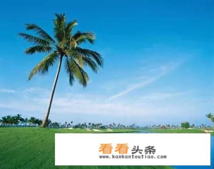 海南的博鳌怎么样 海南的博鳌怎么样