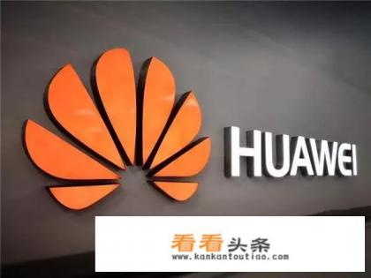 中兴就是半导体起家为什么不像华为拥有自己的芯片 中兴就是半导体起家为什么不像华为拥有自己的芯片