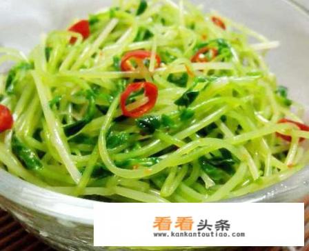 豌豆芽家常做法 豌豆芽家常做法