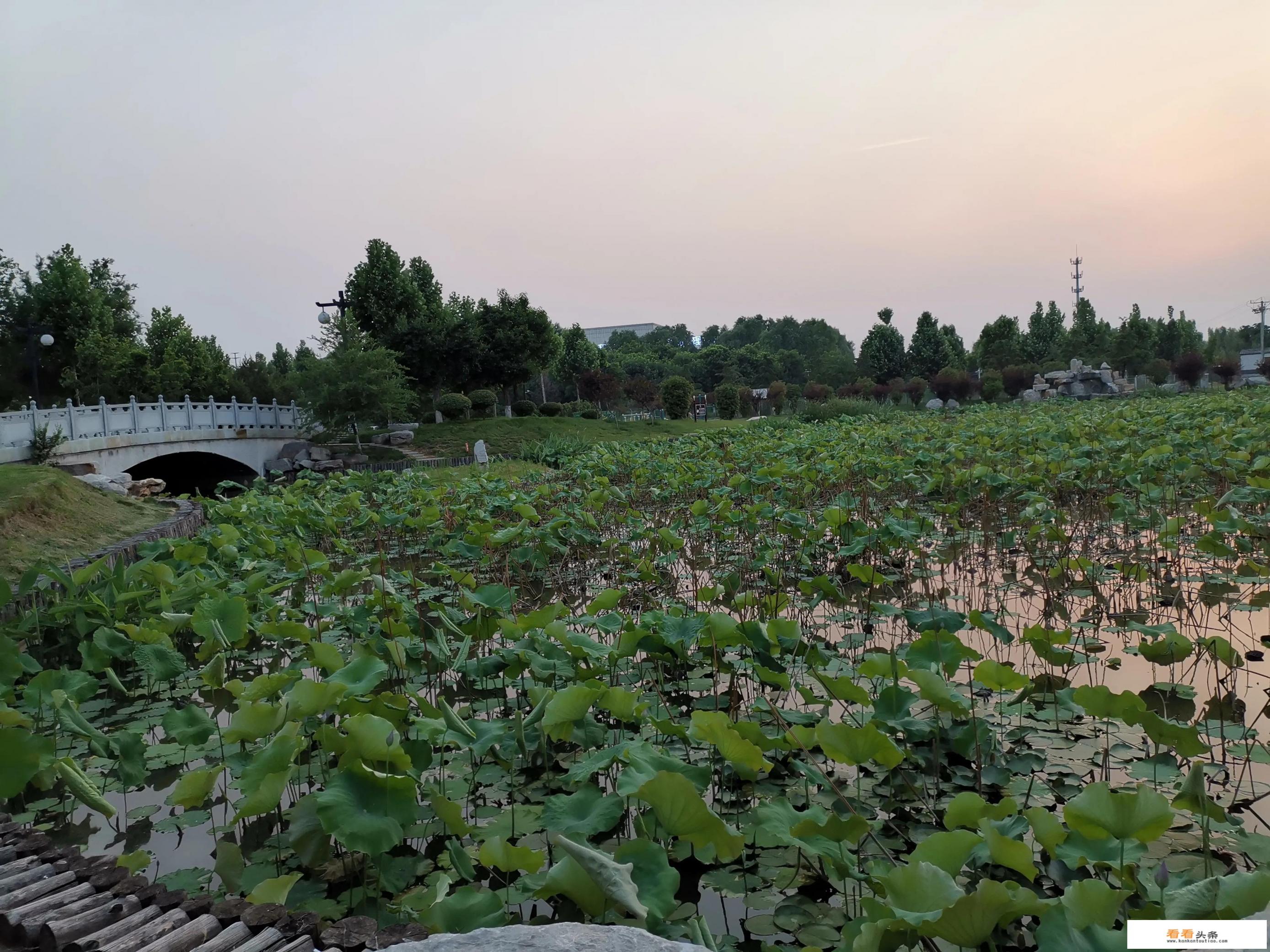 一个专科旅游管理专业毕业的应届生可以找什么工作呢?好迷茫 一个专科旅游管理专业毕业的应届生可以找什么工作呢?好迷茫