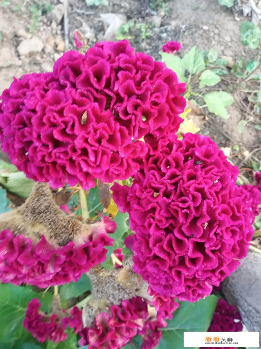 《你眼中的世界》电影好看吗 《你眼中的世界》电影好看吗