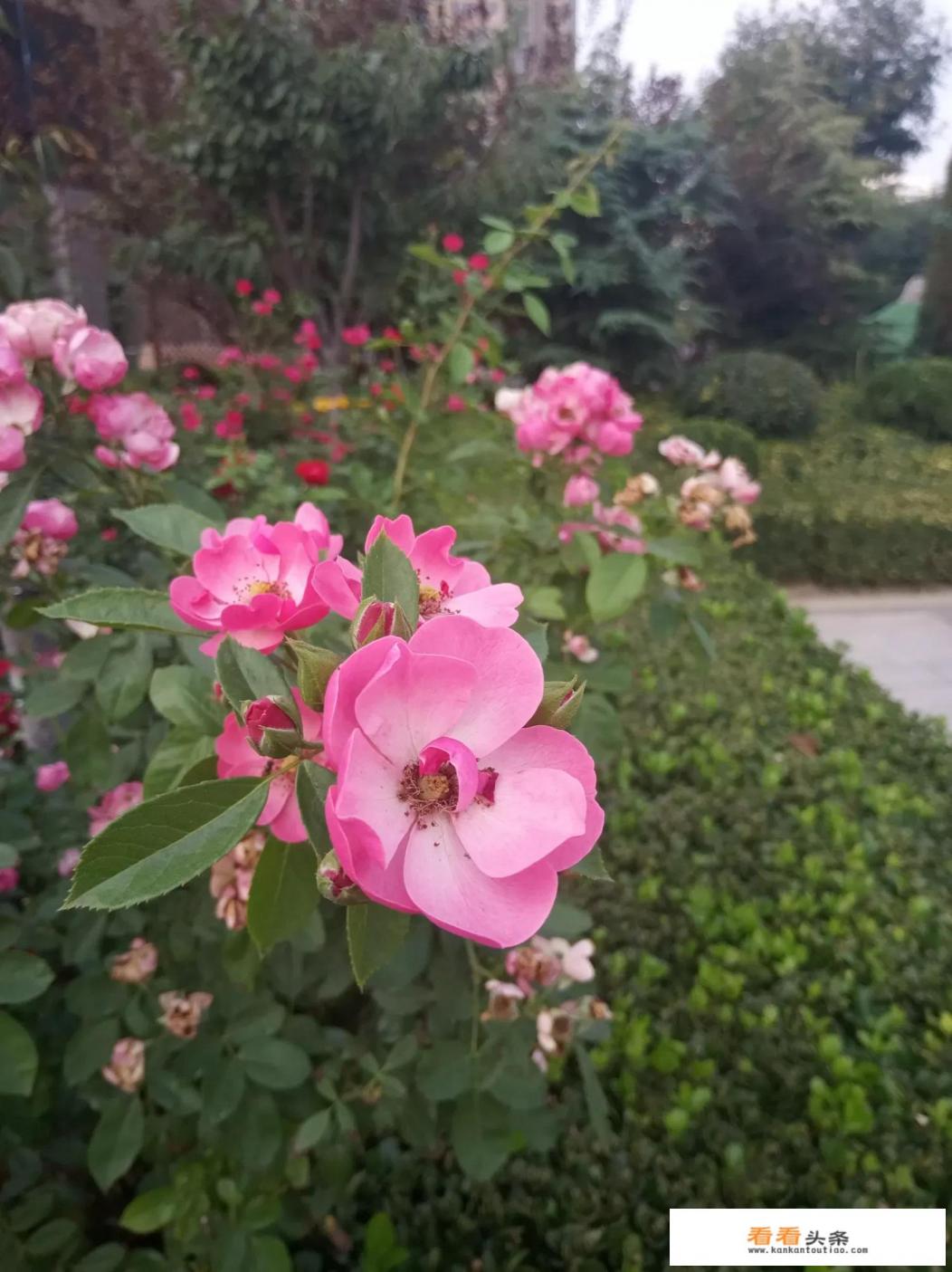 《你眼中的世界》电影好看吗 《你眼中的世界》电影好看吗