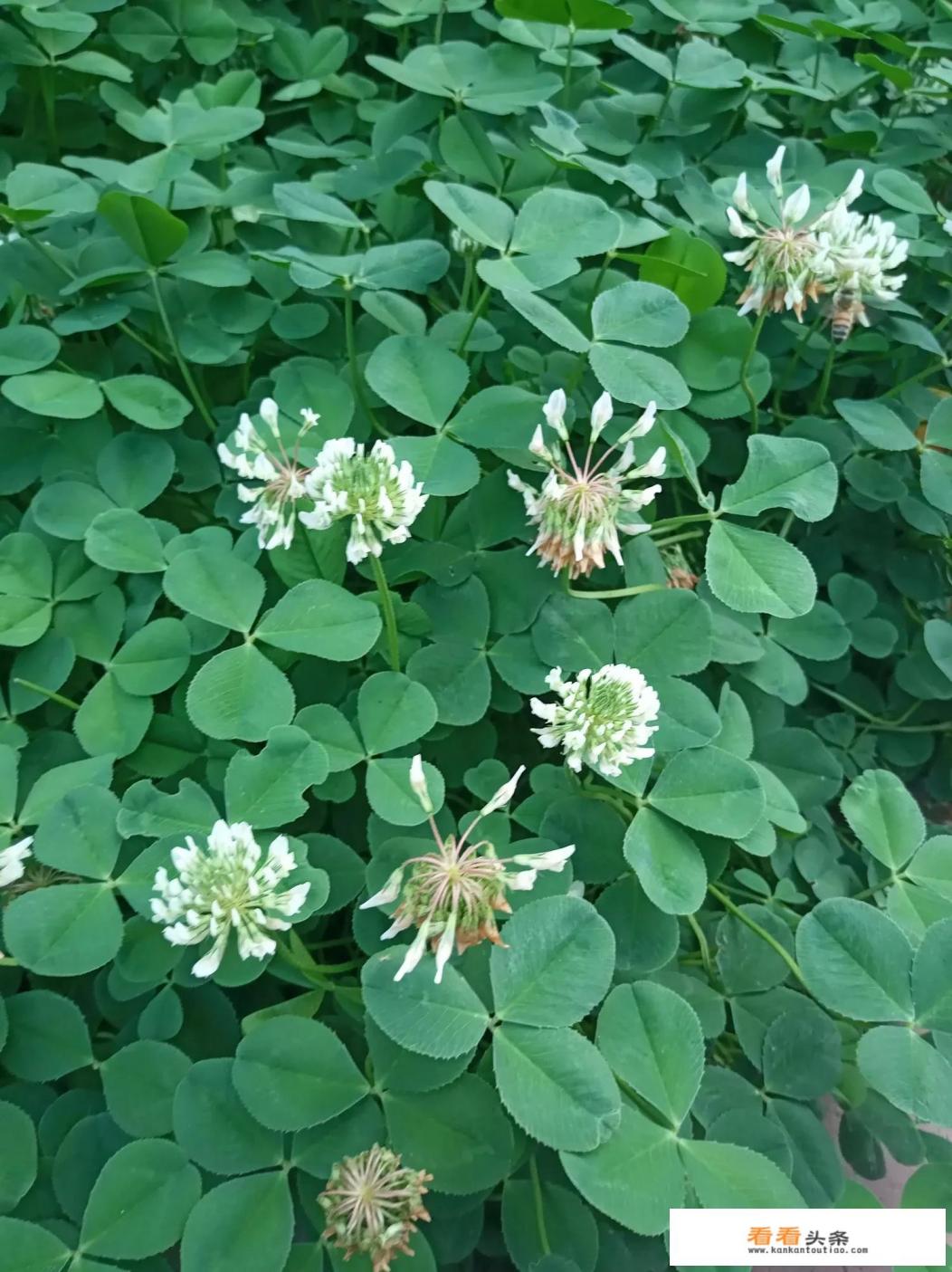 《你眼中的世界》电影好看吗 《你眼中的世界》电影好看吗