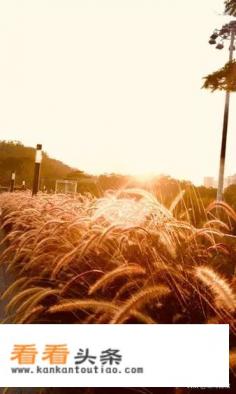 你游玩时最好的美景照片有没有能分享给大家的?美景照片分享下吧 你游玩时最好的美景照片有没有能分享给大家的?美景照片分享下吧