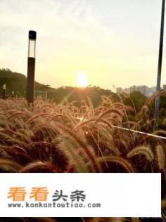 你游玩时最好的美景照片有没有能分享给大家的?美景照片分享下吧 你游玩时最好的美景照片有没有能分享给大家的?美景照片分享下吧