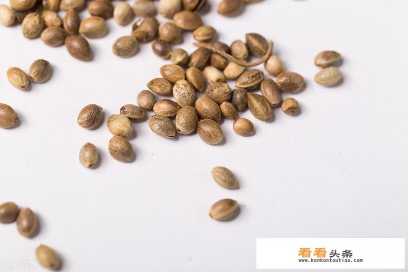 火麻油保质期一般多少年 火麻油保质期一般多少年