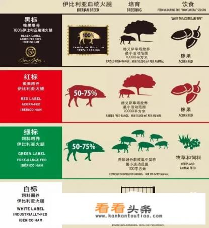 如何区分不同品种的西班牙火腿