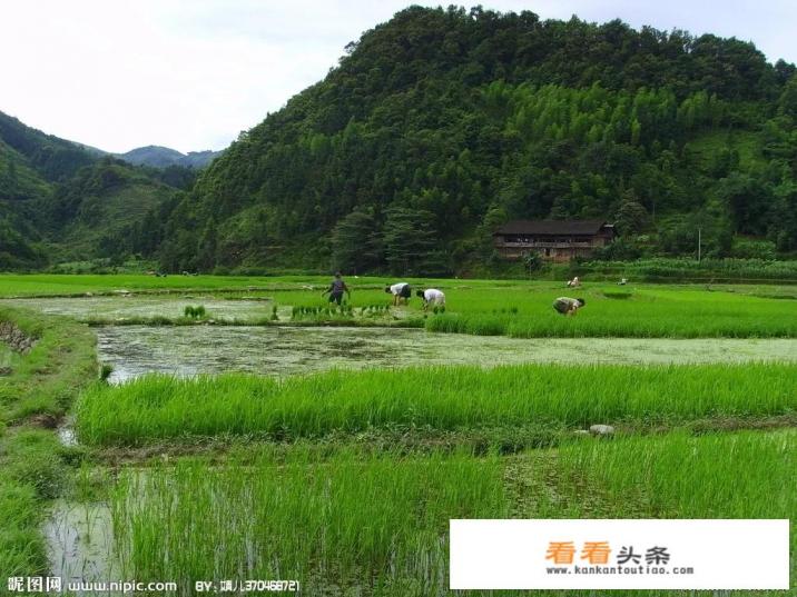 乡村旅游开发的计划目标 乡村旅游开发的计划目标