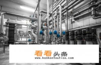 啤酒的工艺流程